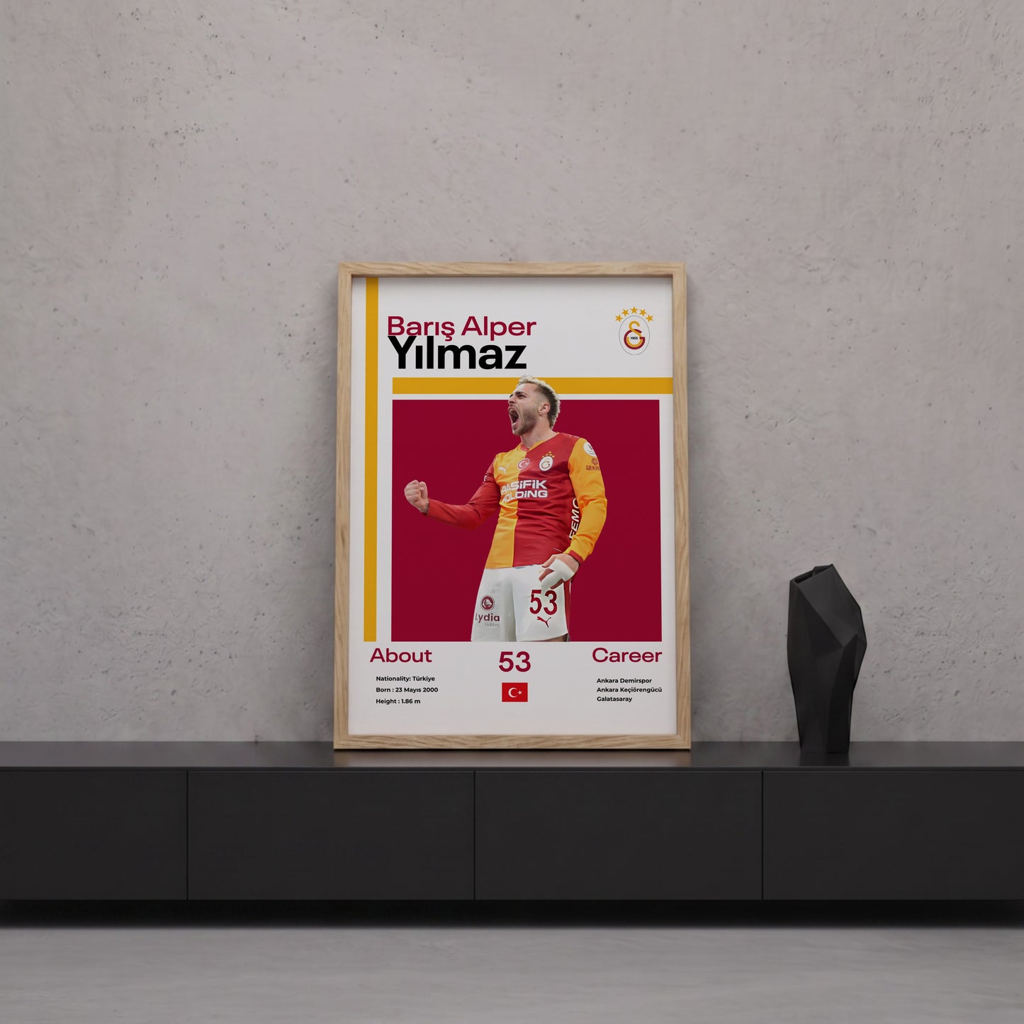 Barış Alper Yılmaz Tasarım Poster Tablo