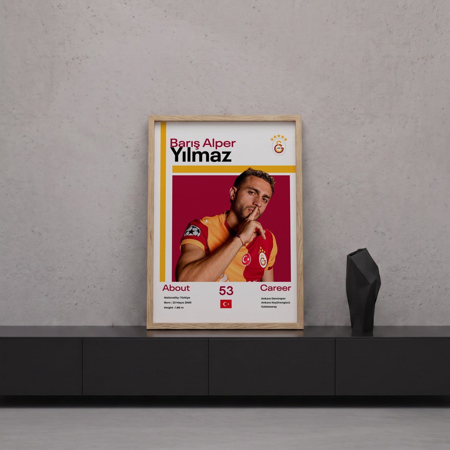 Barış Alper Yılmaz Tasarım Poster Tablo