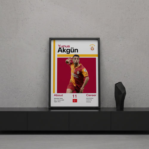 Yunus Akgün Tasarım Poster Tablo