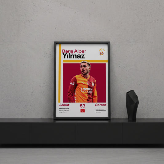 Barış Alper Yılmaz Tasarım Poster Tablo