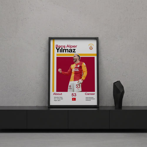 Barış Alper Yılmaz Tasarım Poster Tablo