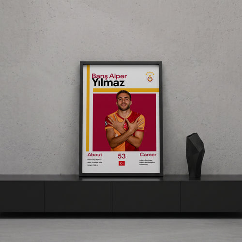 Barış Alper Yılmaz Tasarım Poster Tablo